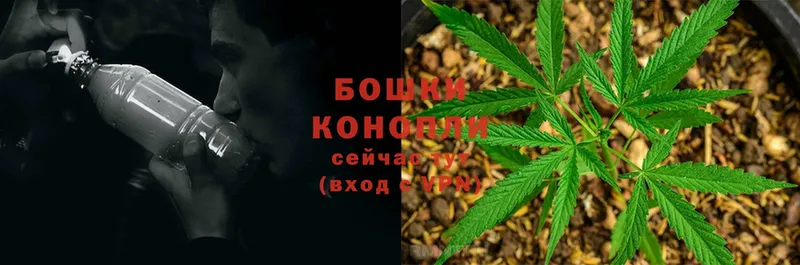 МАРИХУАНА White Widow  Пошехонье 